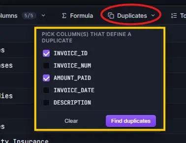 Duplicates dropdown with column checkboxes and the Find duplicates button